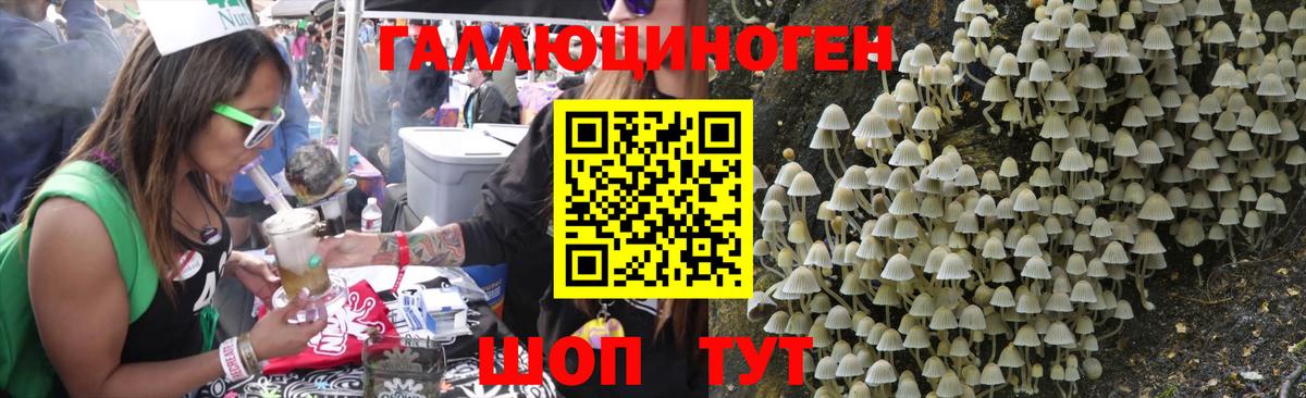 Псилоцибиновые грибы мухоморы Куйбышев