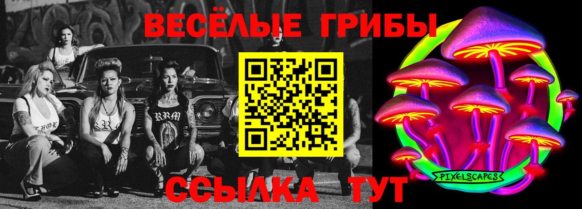 Куйбышев  Галлюциногенные грибы мицелий  Вход с VPN  Галлюциногенные грибы мухоморы 